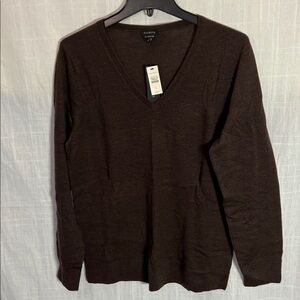 Talbots Rich Brown V-Neck Sweater